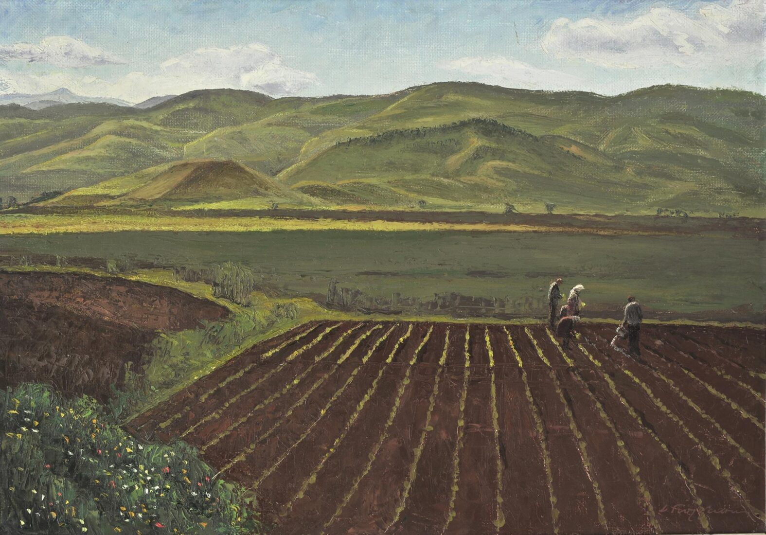 Tobacco Fields - Yoldassis Dimitrios