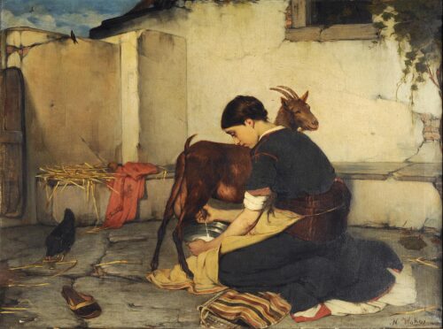 The Milking of the Goat - Vokos Nikolaos