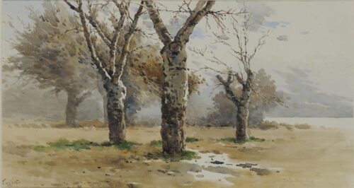 Trees - Giallinas Angelos