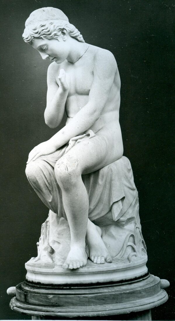 Narcissus - Vroutos Georgios