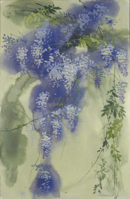 Wisteria - Varlamos Giorgos