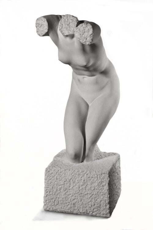 Female Torso - Dimitriadis Constantinos