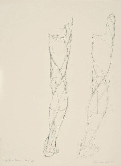 Right Leg (back side) - Avramidis Joannis