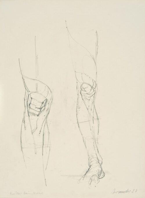 Right Leg (front side ) - Avramidis Joannis