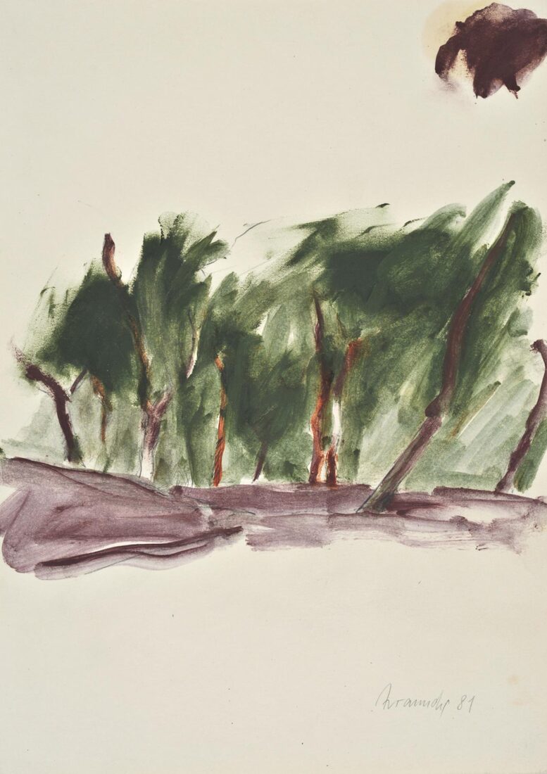 Pine Wood in Attica - Avramidis Joannis