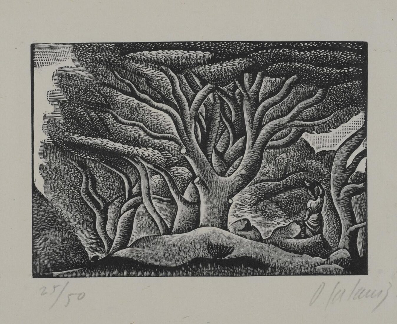 Landscape with Pine Trees - Galanis Dimitrios