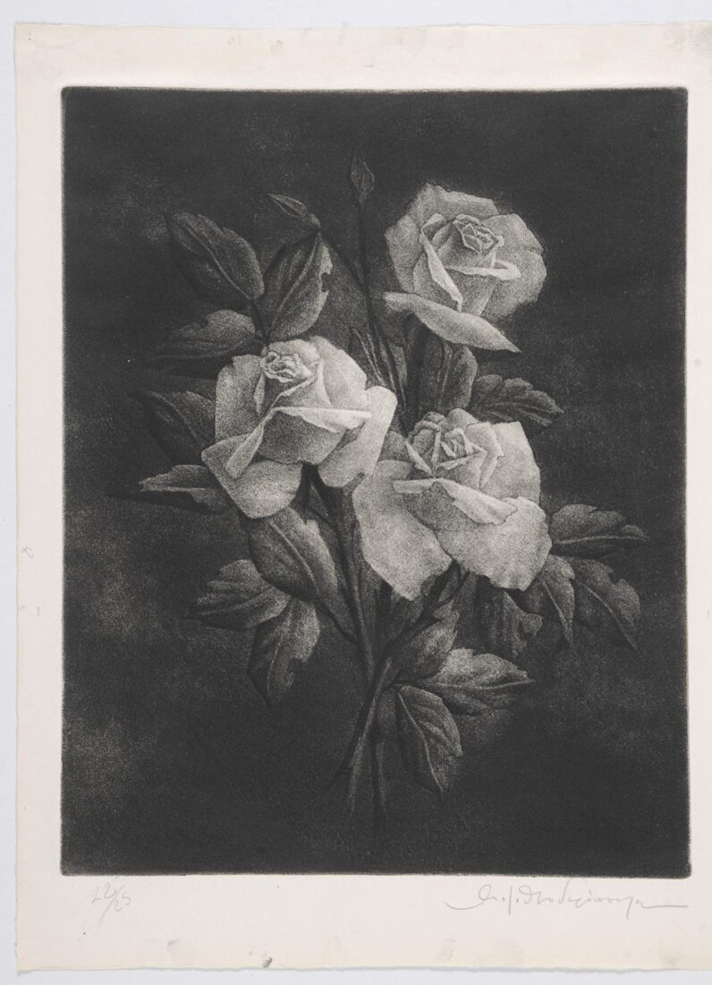 Roses - Theodoropoulos Angelos