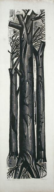 The Parched Trees will Blossom B - Tassos (Alevizos Anastasios)