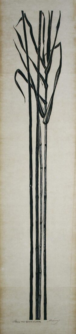 Reeds drawn aside - Tassos (Alevizos Anastasios)