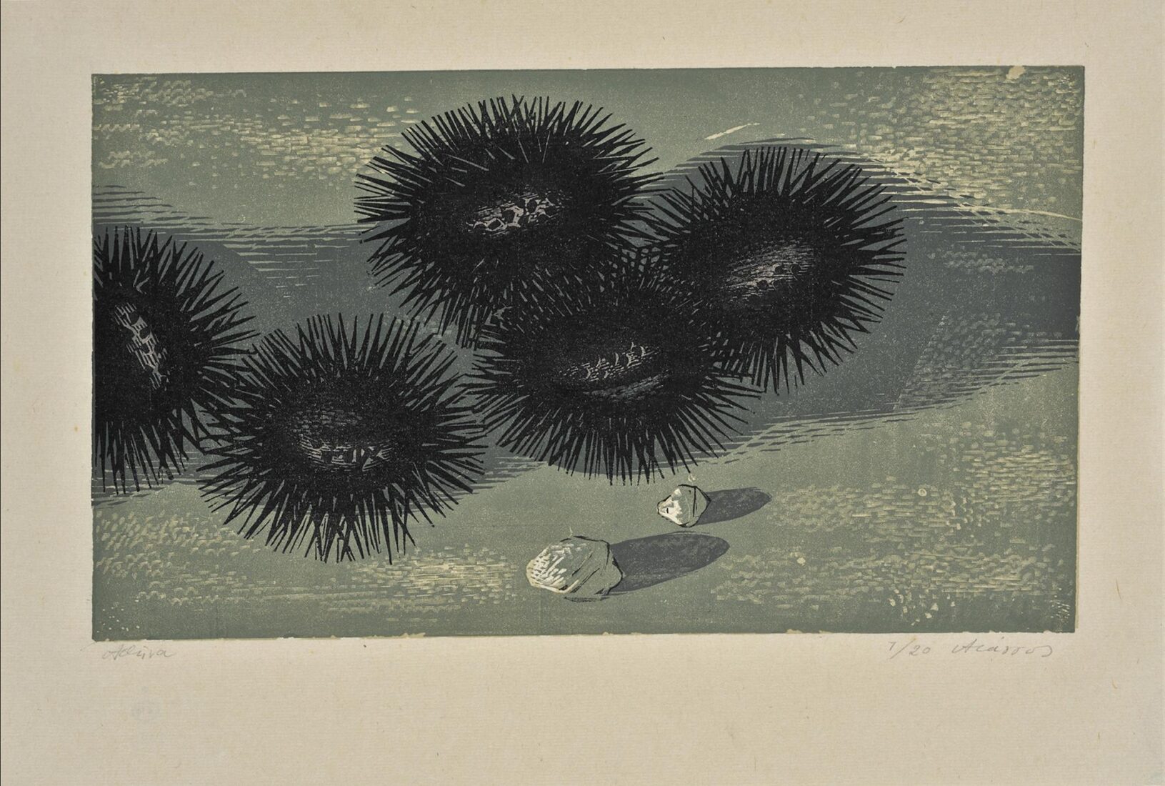 Sea Urchins - Tassos (Alevizos Anastasios)