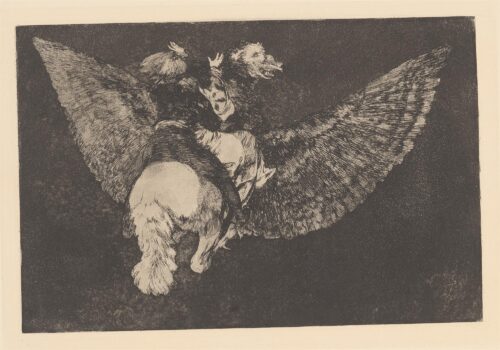 Τρέλα ιπτάμενη [Ο διπρόσωπος φίλος είναι φίδι κολοβό] - Goya y Lucientes Francisco