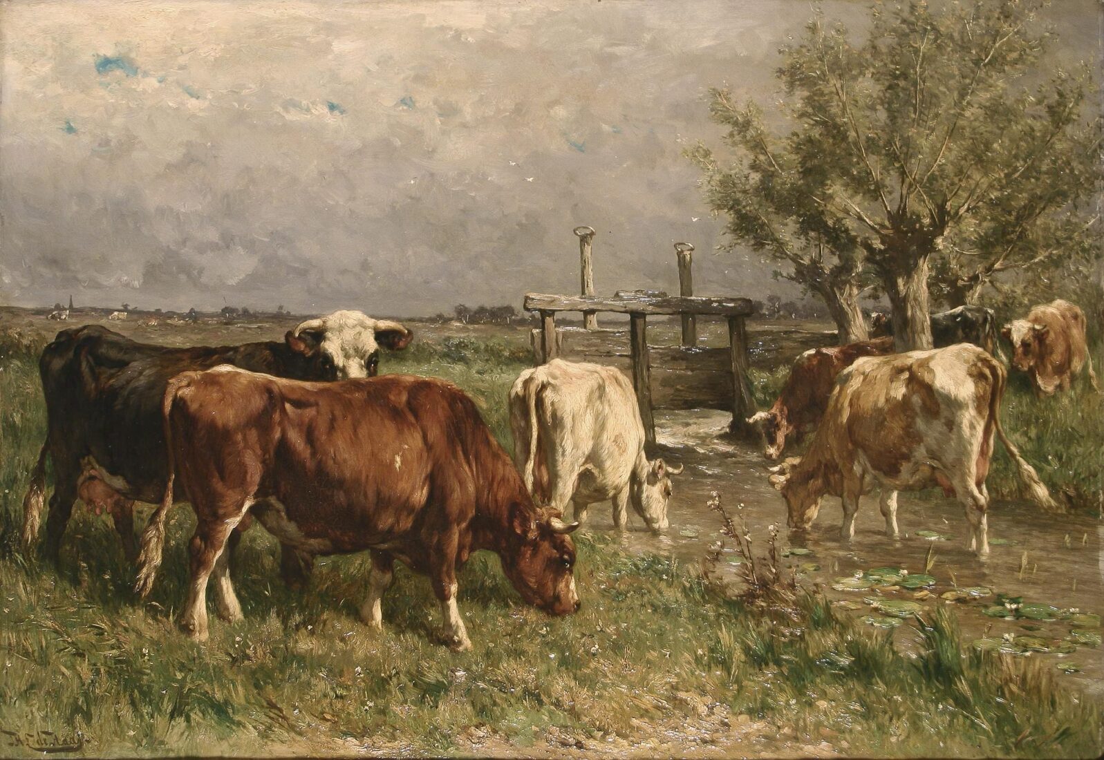 Cows - Haas Johannes H.-L.
