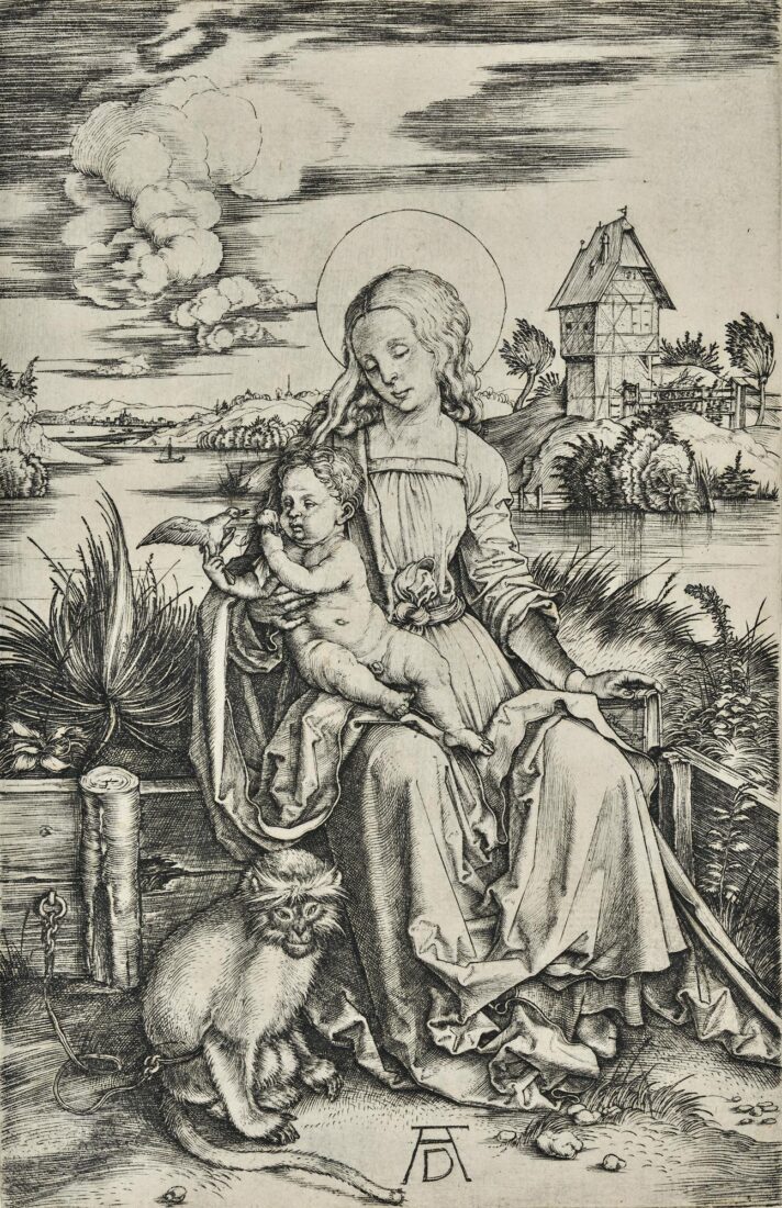 The Virgin and Child with the monkey - Durer Albrecht