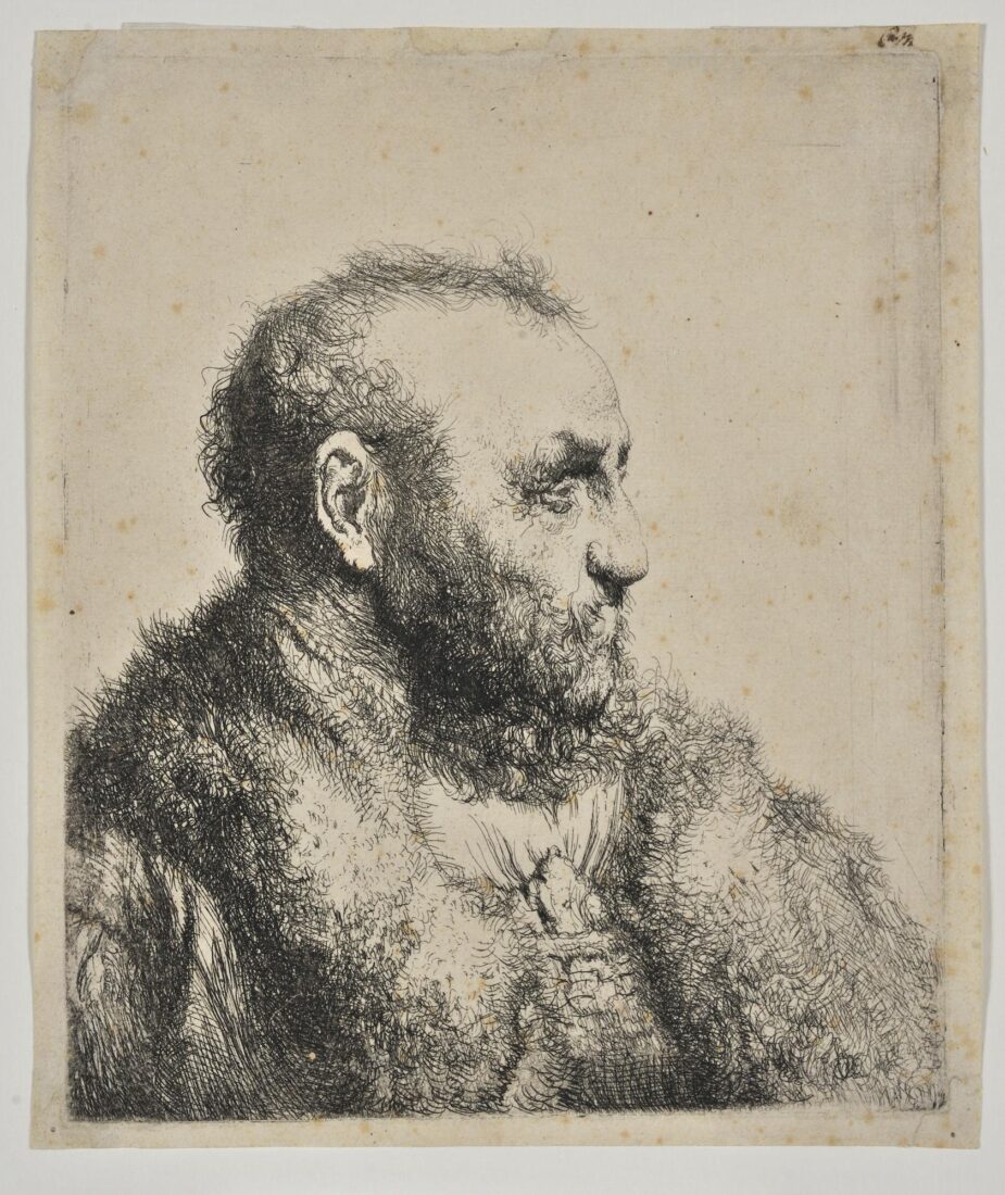 Bust of an Old Man - Lievens Jan