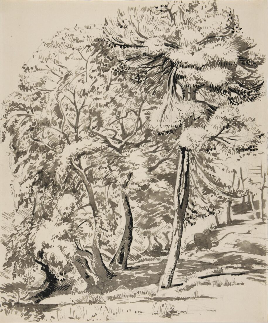 Δέντρα - Κεφαλληνός Γιάννης