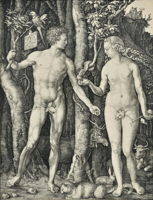 Adam and Eve - Durer Albrecht