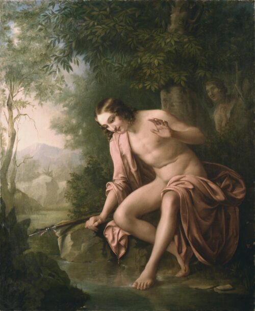 Narcissus - Unknown