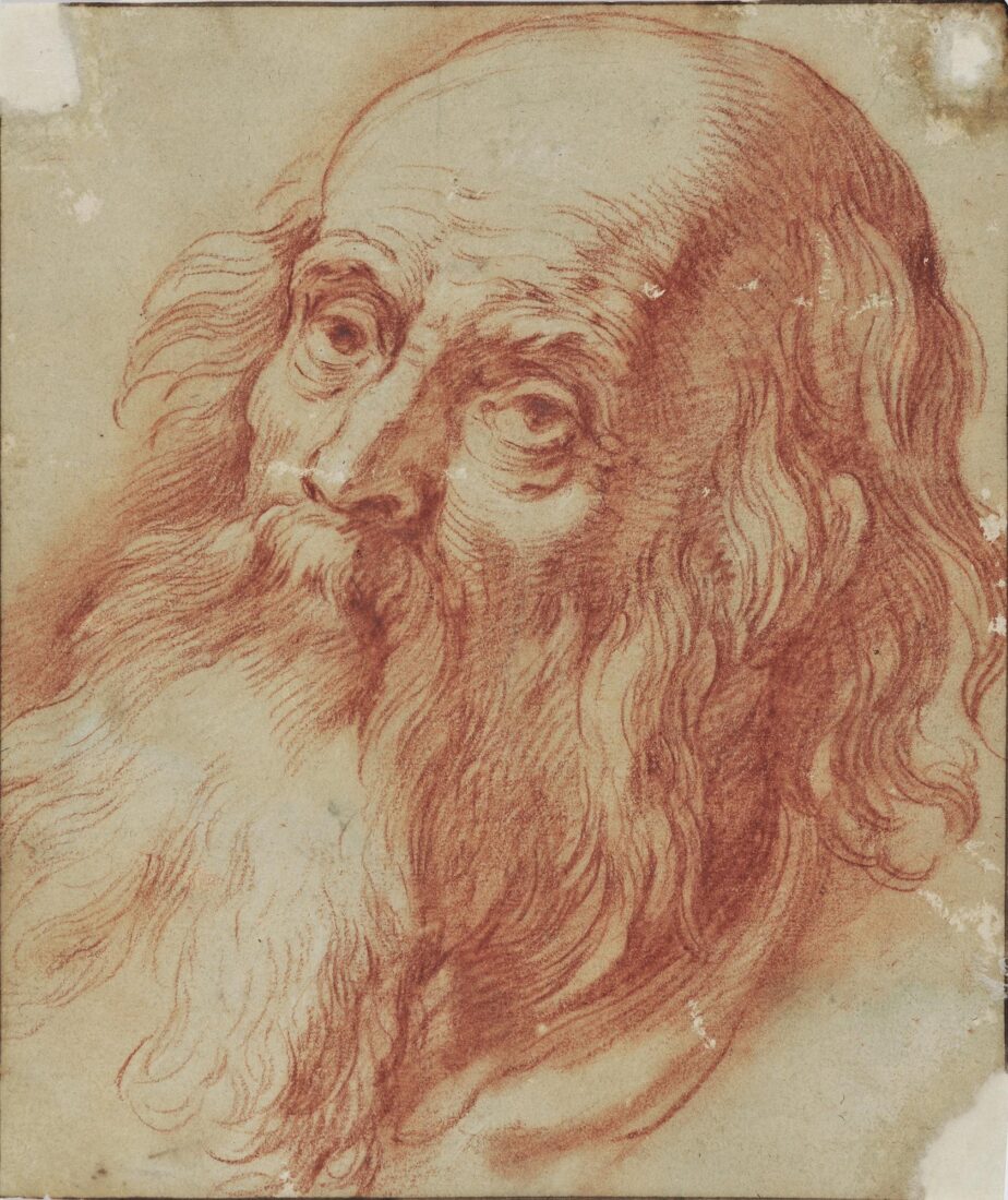 Study for Bearded Old Man - Tempel Abraham Lambertsz