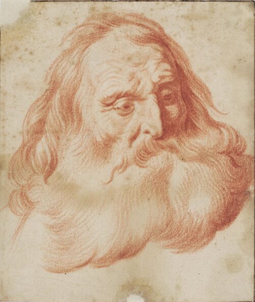 Study for bearded old man - Tempel Abraham Lambertsz