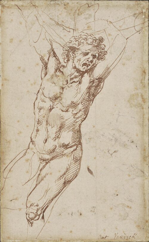 Study for crucified man or for Marsyas - Dyck Anthony van (?)