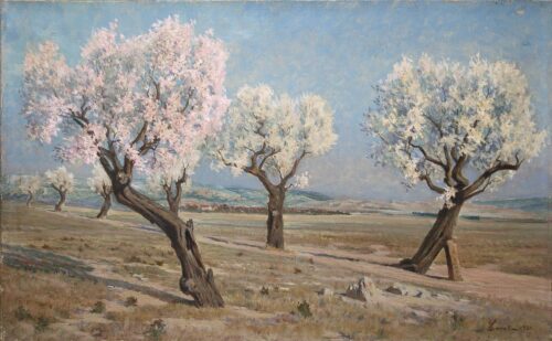 Flowering Almonds - Perret Felix