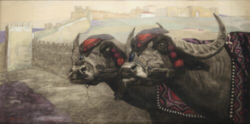 Bulls in Thessaloniki - Jouve Paul