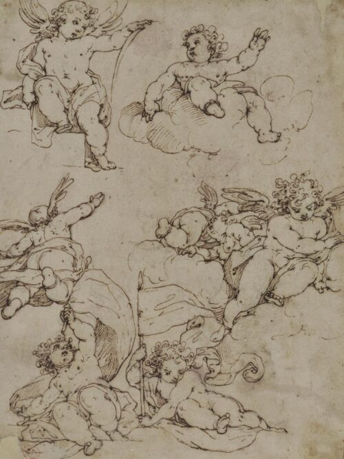 Studies for Putti - Mariotto Albertinelli or Pierino del Vaga, style of