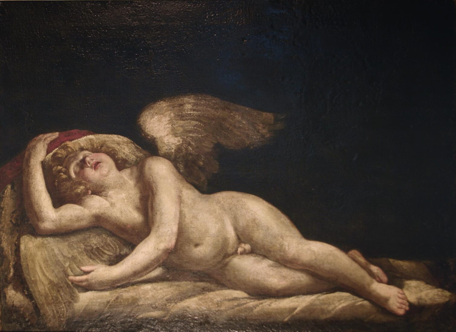 Sleeping Cupid - Italian School