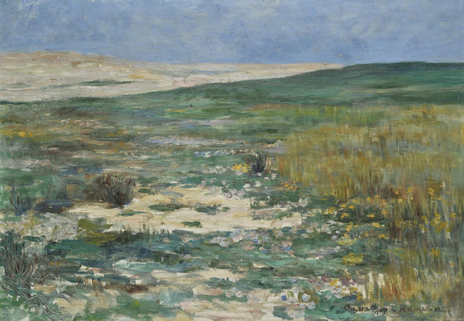 Mariout Landscape - Flora Karavia Thaleia