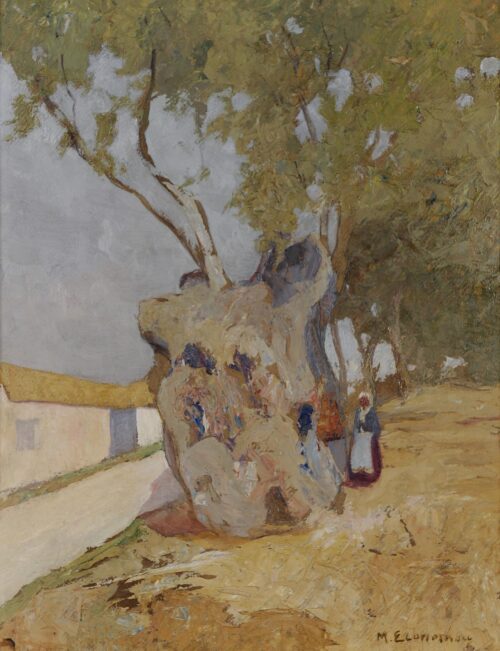 Olive Tree - Economou Michael