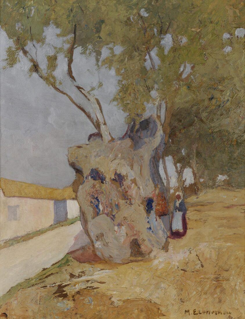 Olive Tree - Economou Michael