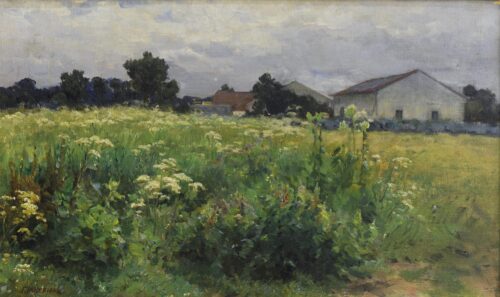 Grassy Field - Iakovidis Georgios