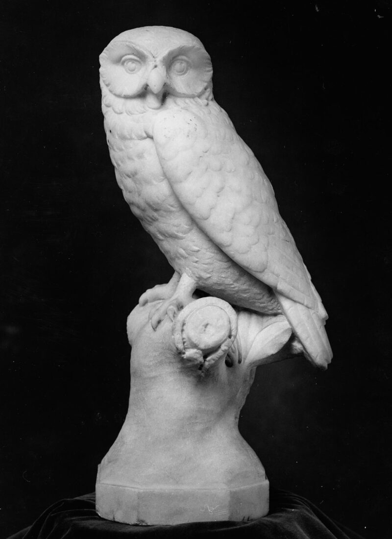 Owl - Drossis Leonidas