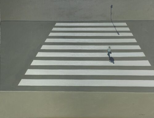 Zebra Crossing - Roubos Leon