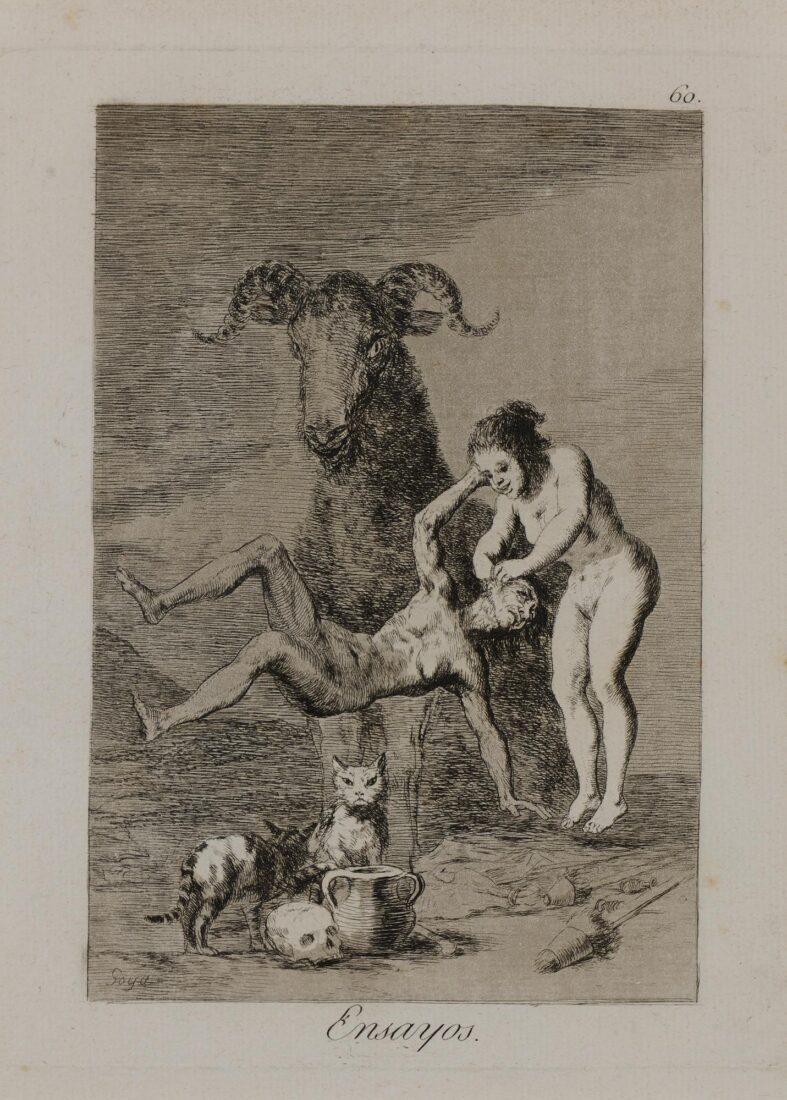 Δοκιμές, Goya y Lucientes Francisco, 1803