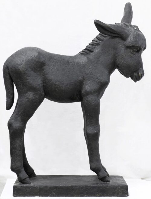 Baby Donkey - Efthymiadi-Menegaki Frosso