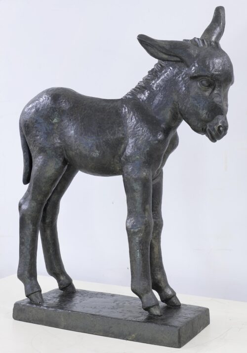 Baby Donkey - Efthymiadi-Menegaki Frosso