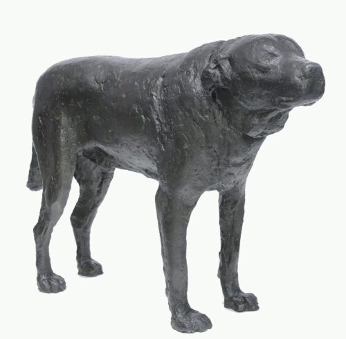 My Dog - Antoniadis Yannis