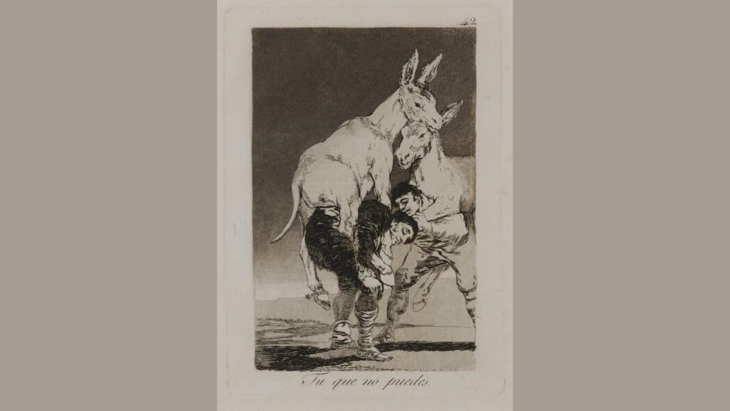Francisco Goya, Los Caprichos