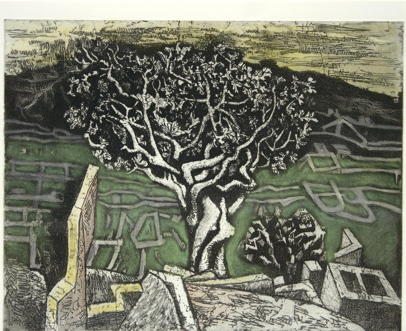 Fig Tree - Hatzikyriakos-Ghika Nikos