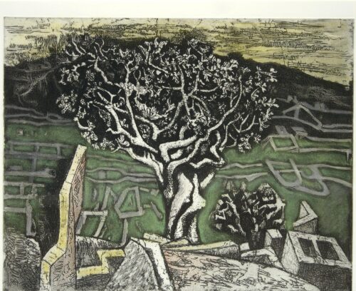 Fig Tree - Hatzikyriakos-Ghika Nikos